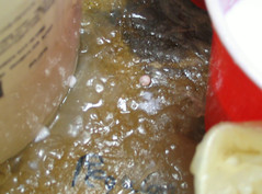 膠水起泡現象